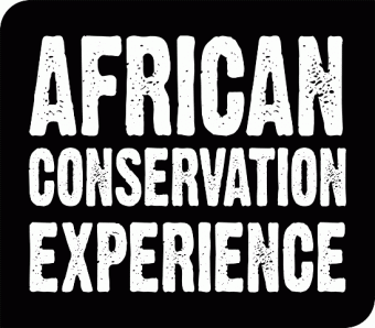 African Conservation Experience Logo